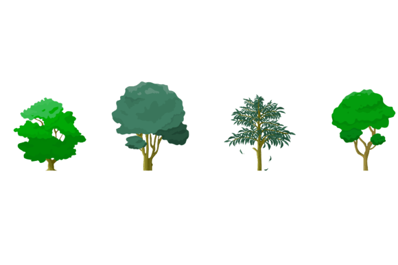 Set Tree Illustration Design: Graphics & Freebies Review